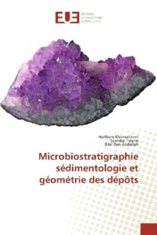 Carte Microbiostratigraphie sédimentologie et géométrie des dépôts Haithem Khemakhem