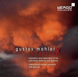 Audio Symphony X.Realisation And Elaboration Of The International Mahler Orchestra