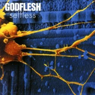 Аудио Selfless Godflesh