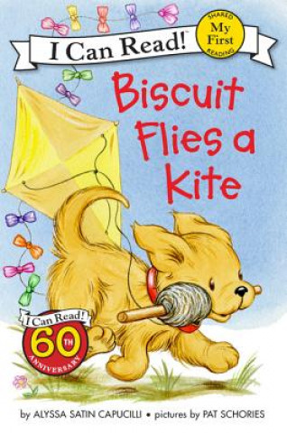 Книга Biscuit Flies a Kite Alyssa Satin Capucilli