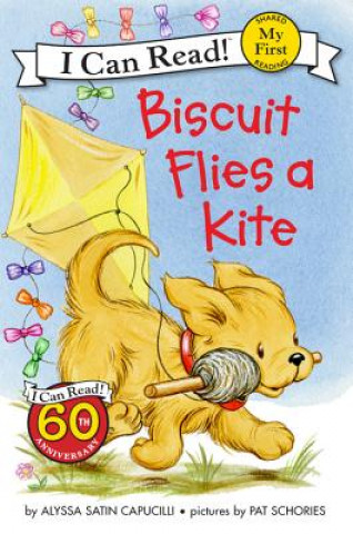 Kniha Biscuit Flies a Kite Alyssa Satin Capucilli