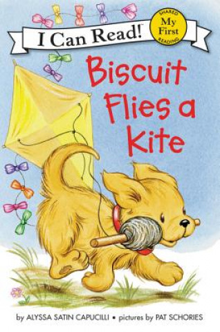 Książka Biscuit Flies a Kite Alyssa Satin Capucilli