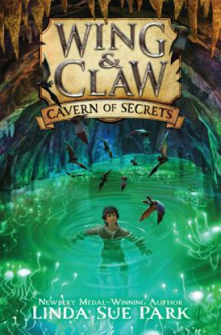 Buch Cavern of Secrets Linda Sue Park