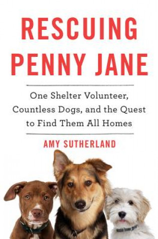 Kniha Rescuing Penny Jane: One Shelter Volunteer, Countless Dogs, and the Quest to Find Them All Homes Amy Sutherland