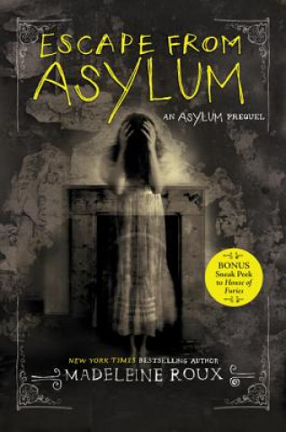 Kniha Escape from Asylum Madeleine Roux