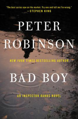 Buch Bad Boy Peter Robinson