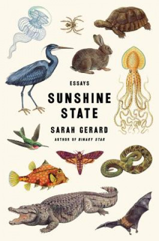 Könyv Sunshine State: Essays Sarah Gerard