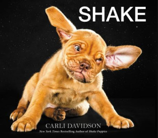 Kniha Shake Carli Davidson