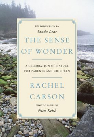 Kniha Sense of Wonder Rachel Carson
