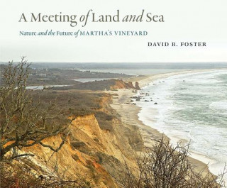 Kniha Meeting of Land and Sea David R. Foster