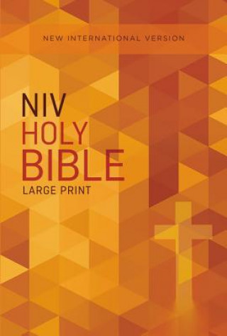 Kniha Outreach Bible-NIV Zondervan