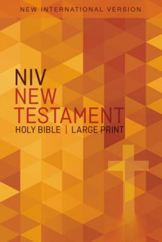 Книга NIV, Outreach New Testament, Large Print, Paperback Zondervan