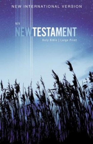 Książka NIV, Outreach New Testament, Large Print, Paperback Zondervan