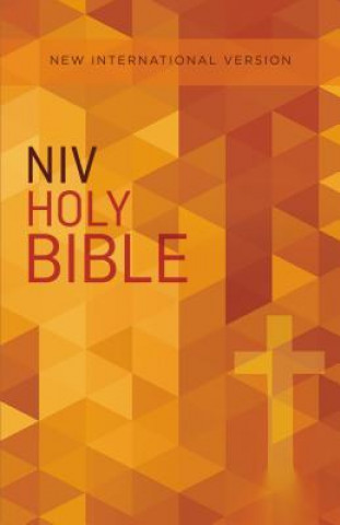 Carte NIV, Value Outreach Bible, Paperback Zondervan