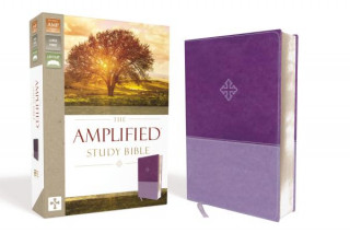 Книга Amplified Study Bible, Leathersoft, Purple Zondervan