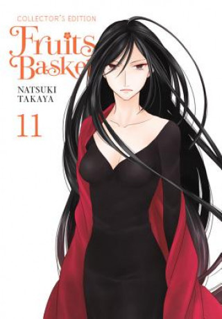 Książka Fruits Basket Collector's Edition, Vol. 11 Natsuki Takaya