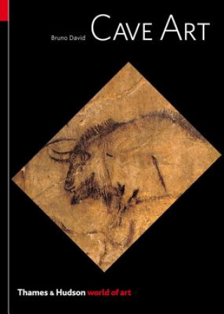 Книга Cave Art Bruno David