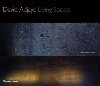 Knjiga David Adjaye David Adjaye