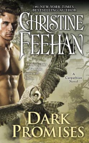 Könyv Dark Promises Christine Feehan