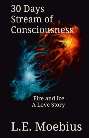 Kniha 30 Days Stream of Consciousness: Fire and Ice: A Love Story L. E. Moebius