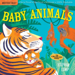 Knjiga Indestructibles: Baby Animals Amy Pixton