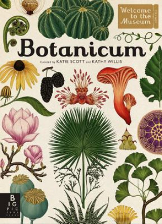 Kniha Botanicum: Welcome to the Museum Katherine Willis
