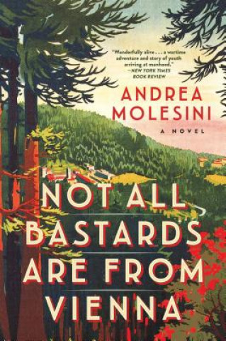 Könyv Not All Bastards Are from Vienna Andrea Molesini