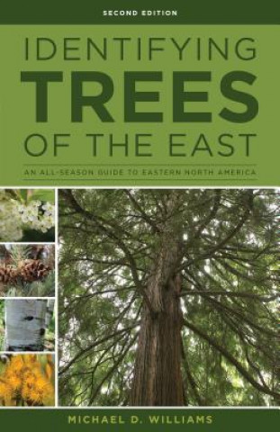 Книга Identifying Trees of the East Michael D. Williams