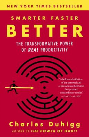Kniha Smarter Faster Better Charles Duhigg