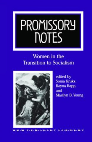 Kniha Promissory Notes Sonia Kruks