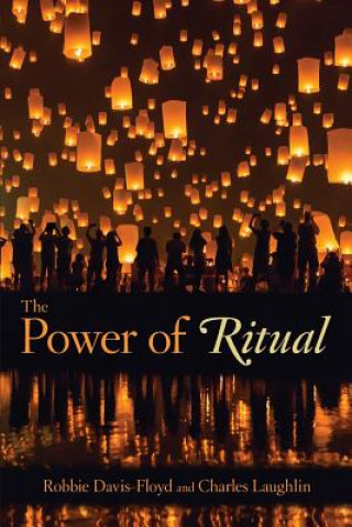 Kniha Power of Ritual Robbie Davis-Floyd