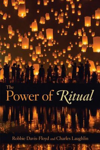 Book Power of Ritual Robbie Davis-Floyd