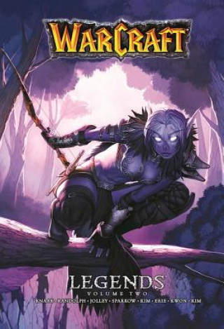 Kniha Warcraft Legends Vol. 2 Richard A. Knaak
