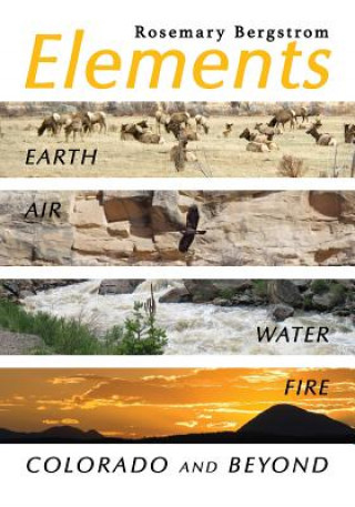 Knjiga Elements Rosemary Bergstrom