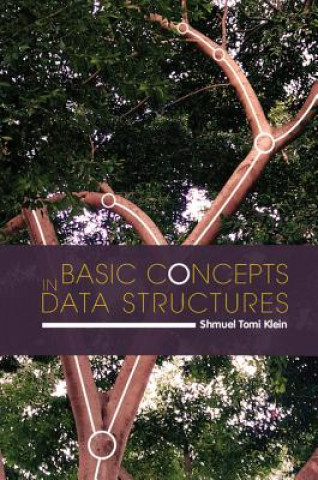 Livre Basic Concepts in Data Structures Shmuel Tomi Klein