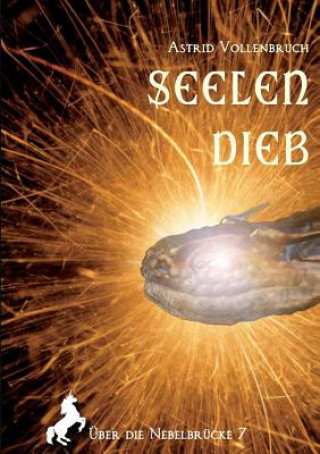 Knjiga Seelendieb Astrid Vollenbruch