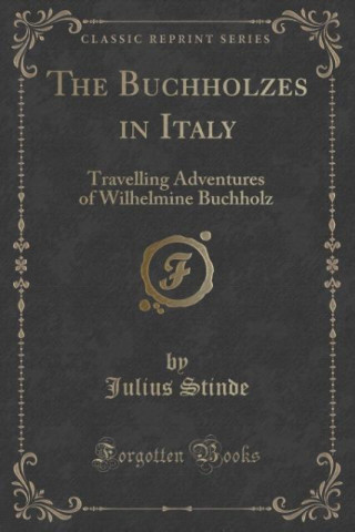 Kniha The Buchholzes in Italy Julius Stinde