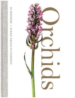 Könyv Orchids Henrik Aerenlund Pedersen