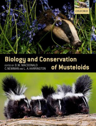 Книга Biology and Conservation of Musteloids DAVID W. MACDONALD