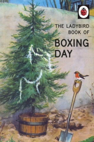 Kniha Ladybird Book of Boxing Day Jason Hazeley