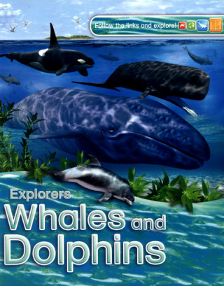 Könyv Explorers: Whales and Dolphins Anita Ganeri