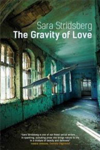 Könyv Gravity of Love Sara Stridsberg