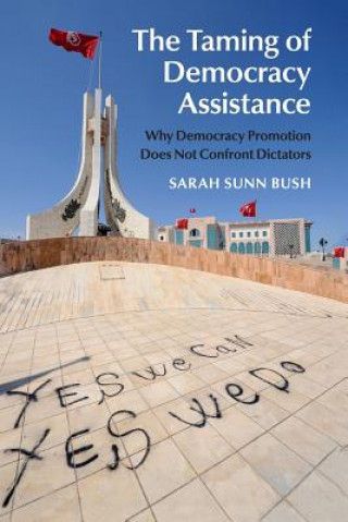 Könyv Taming of Democracy Assistance Sarah Sunn Bush