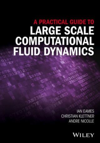 Kniha Practical Guide to Large Scale Computational Fluid Dynamics Ian Eames