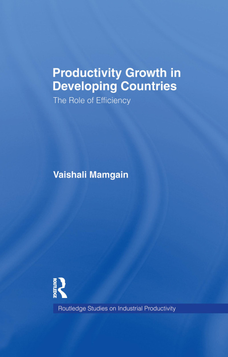 Könyv Productivity Growth in Developing Countries MAMGAIN