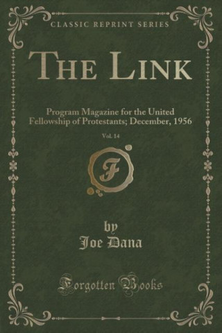 Kniha Link, Vol. 14 Joe Dana