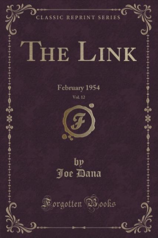 Kniha Link, Vol. 12 Joe Dana