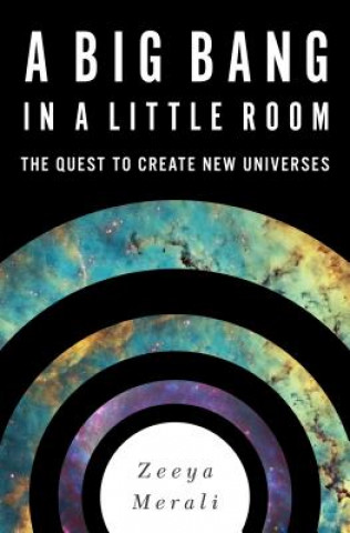 Kniha Big Bang in a Little Room Zeeya Merali