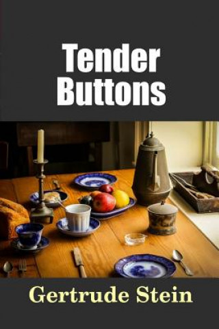 Kniha Tender Buttons Gertrude Stein