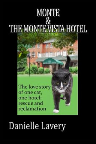 Книга Monte And The Monte Vista Hotel Danielle Lavery